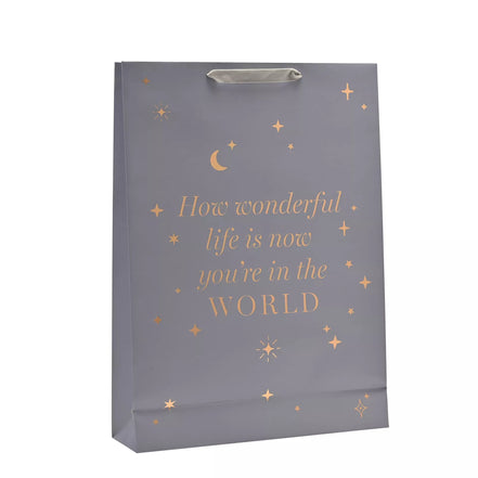 Bambino Baby Boy Gift Bag