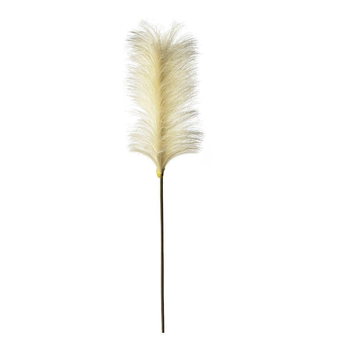 Soft Feather Ivory Stem