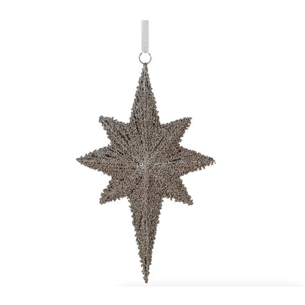 Champagne Hanging Star Decoration