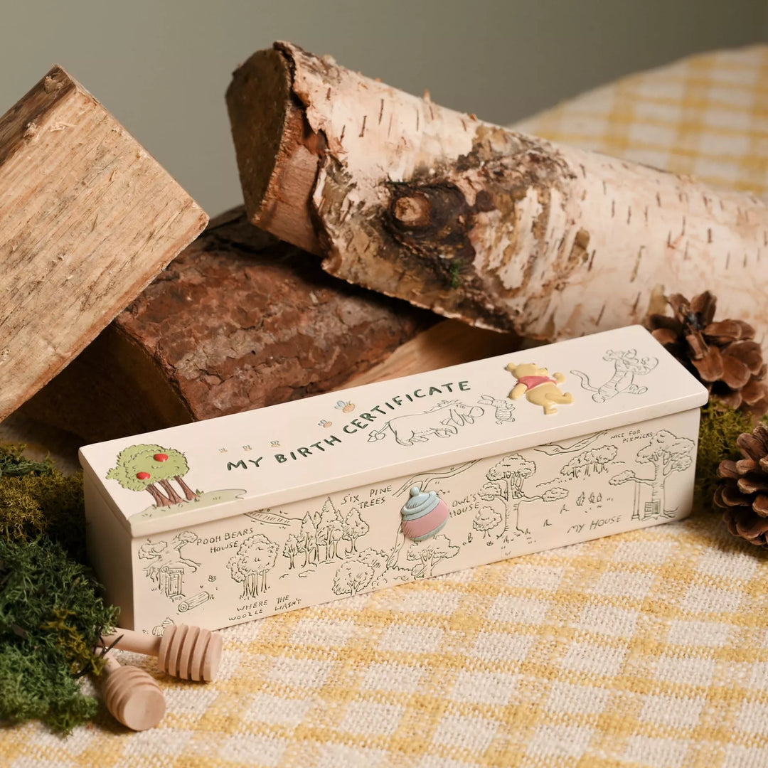Disney Winnie The Pooh Birth Certificate Tube