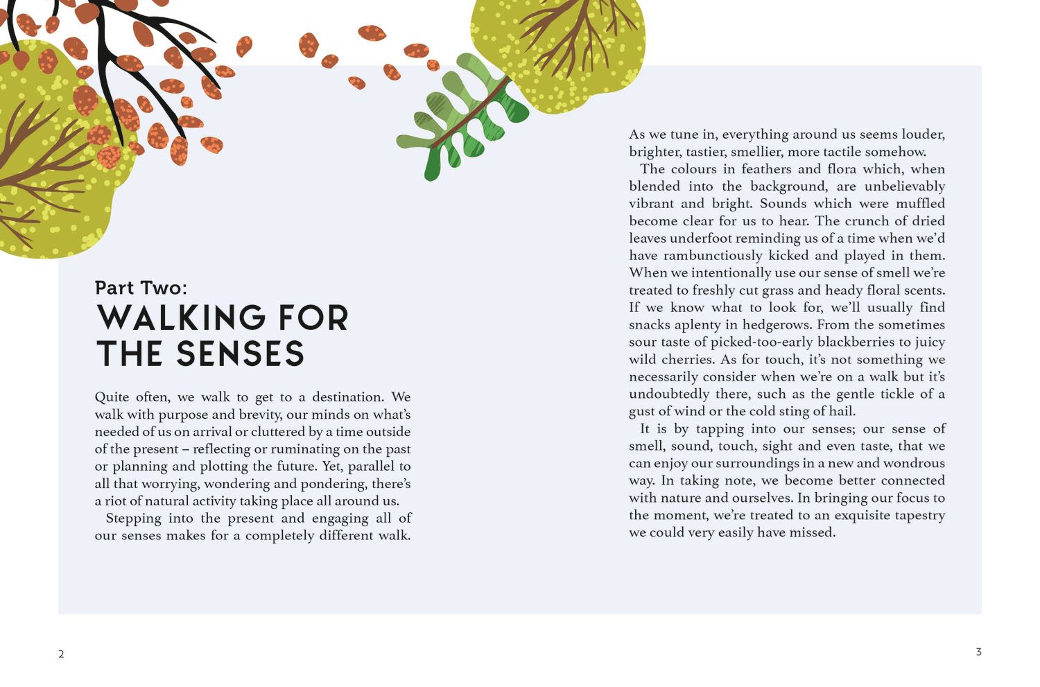 Walking for Mind, Body and Soul Book