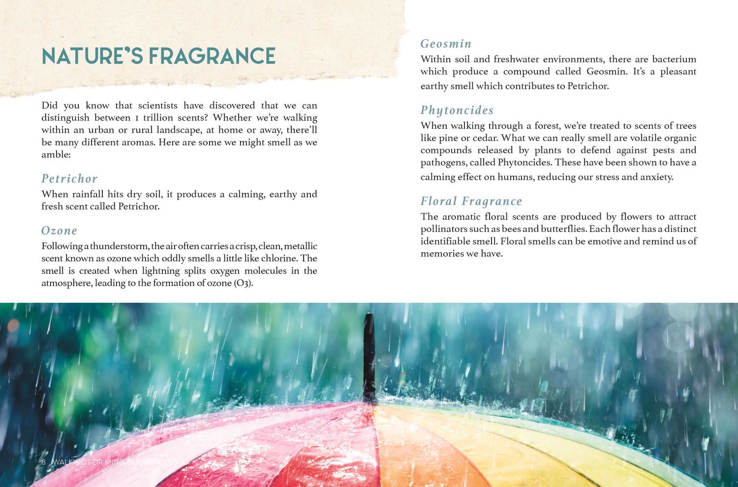 Walking for Mind, Body and Soul Book