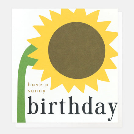 Have A Sunny Birthday Sunflower Birthday Card