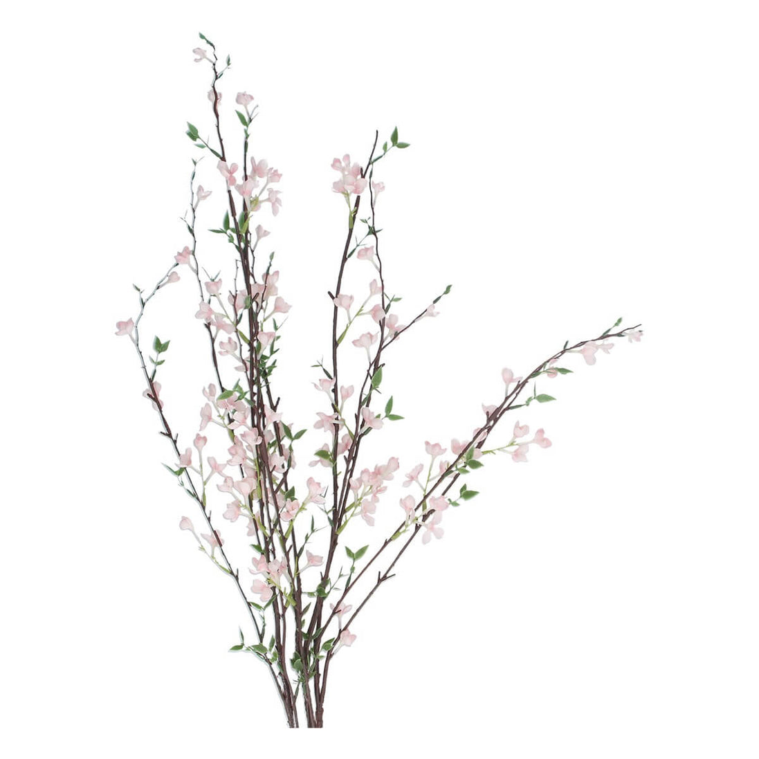Light Pink Blossom Branch