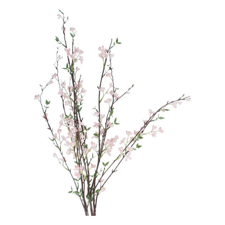 Light Pink Blossom Branch