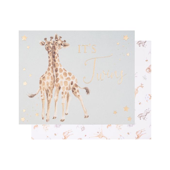 Double the joy Its Twins Card