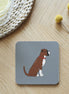 Boxer Coaster
