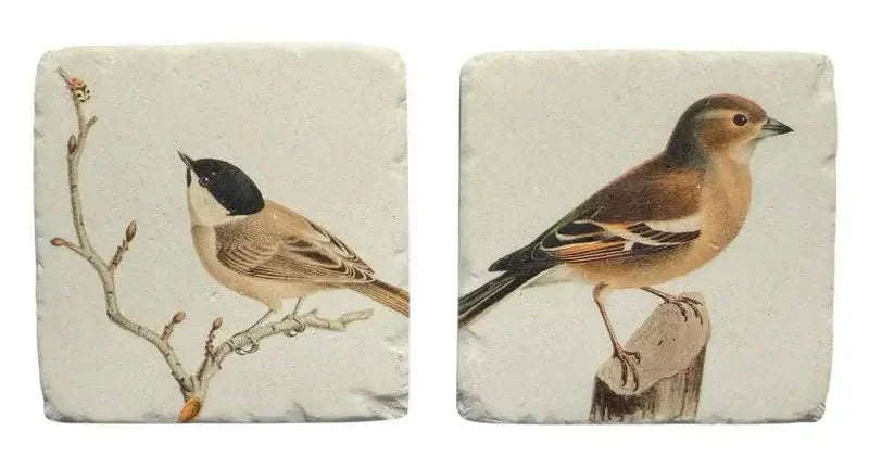 Finch Resin Coaster, 2 Assorted designs