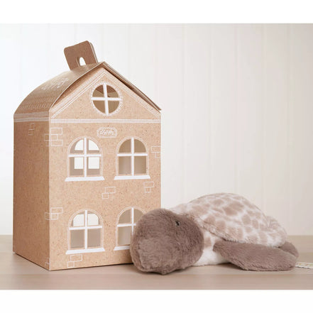 Toby The Plush Brown Turtle