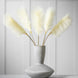 Soft Feather Ivory Stem