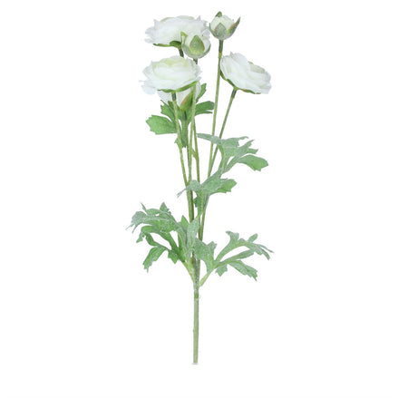 White Ranunculus Spray