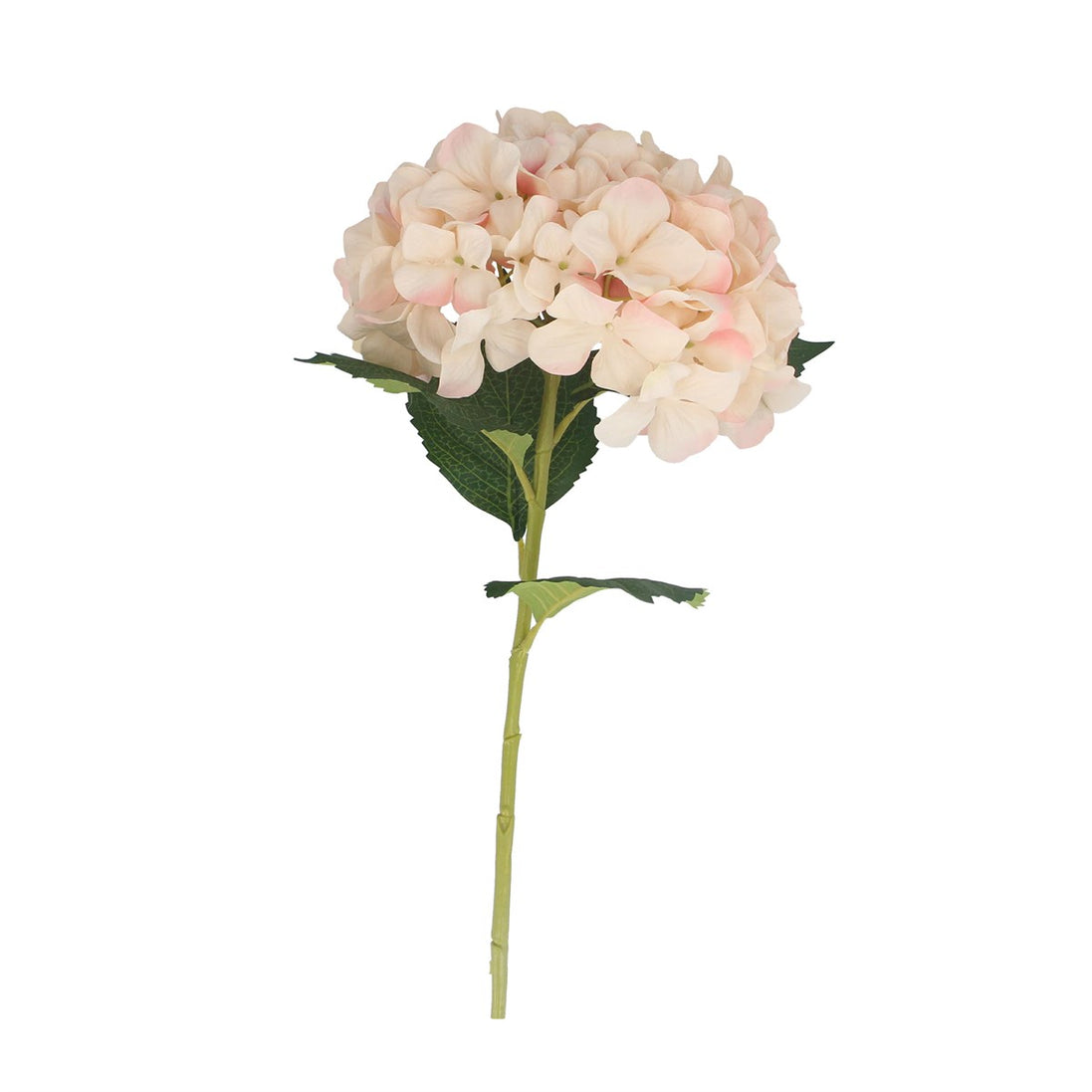 Blush Pink Giant Hydrangea Stem
