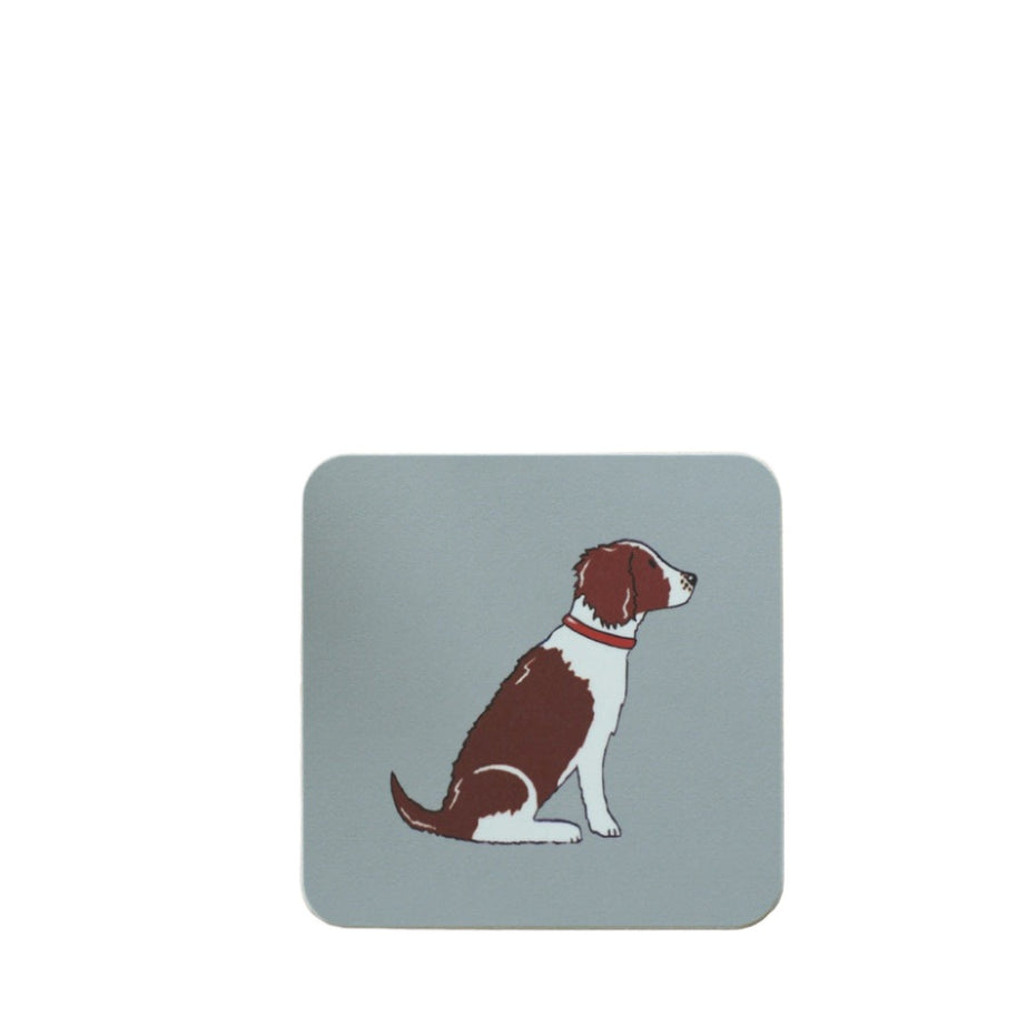 Liver Springer Spaniel Coaster