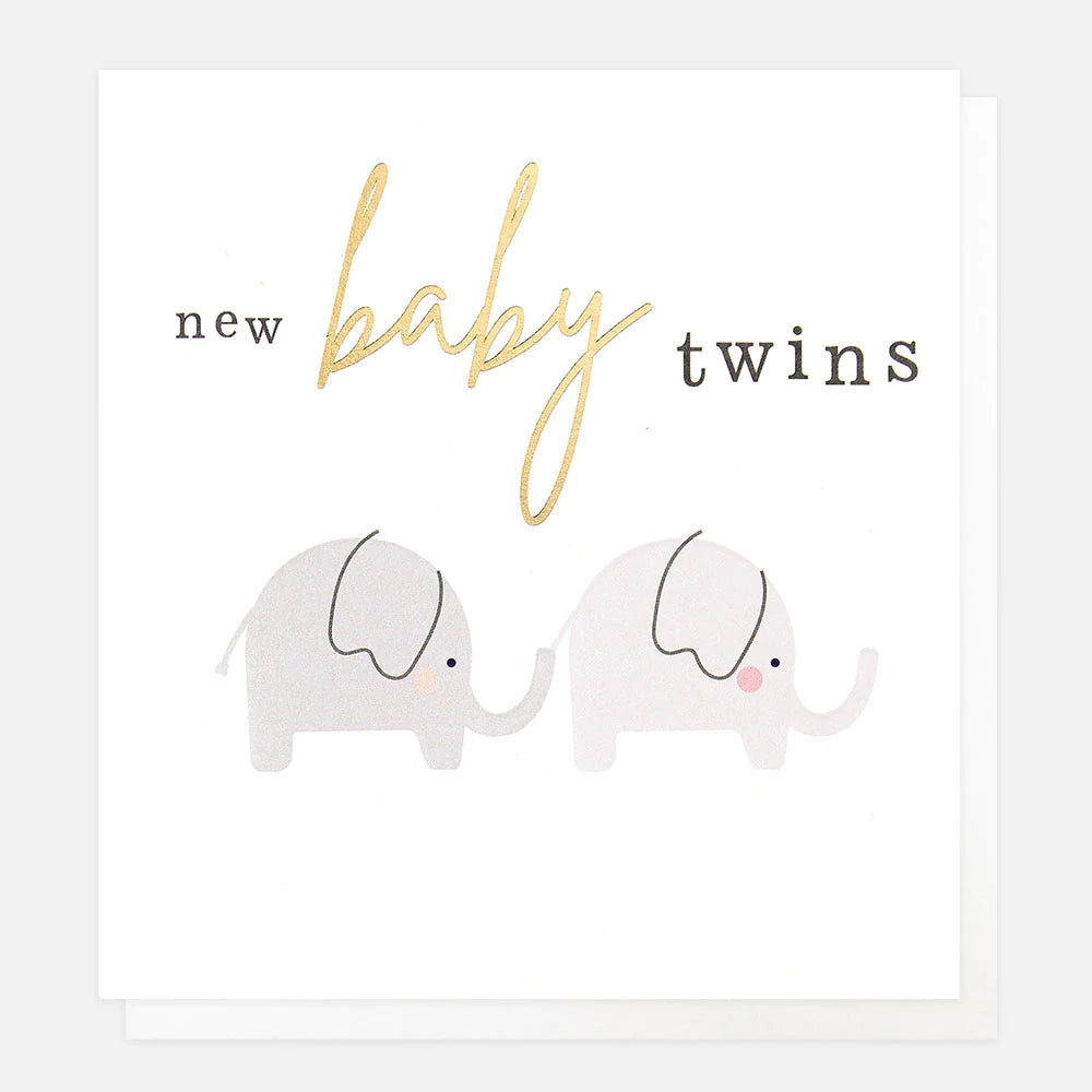 New Baby Twins Elephants