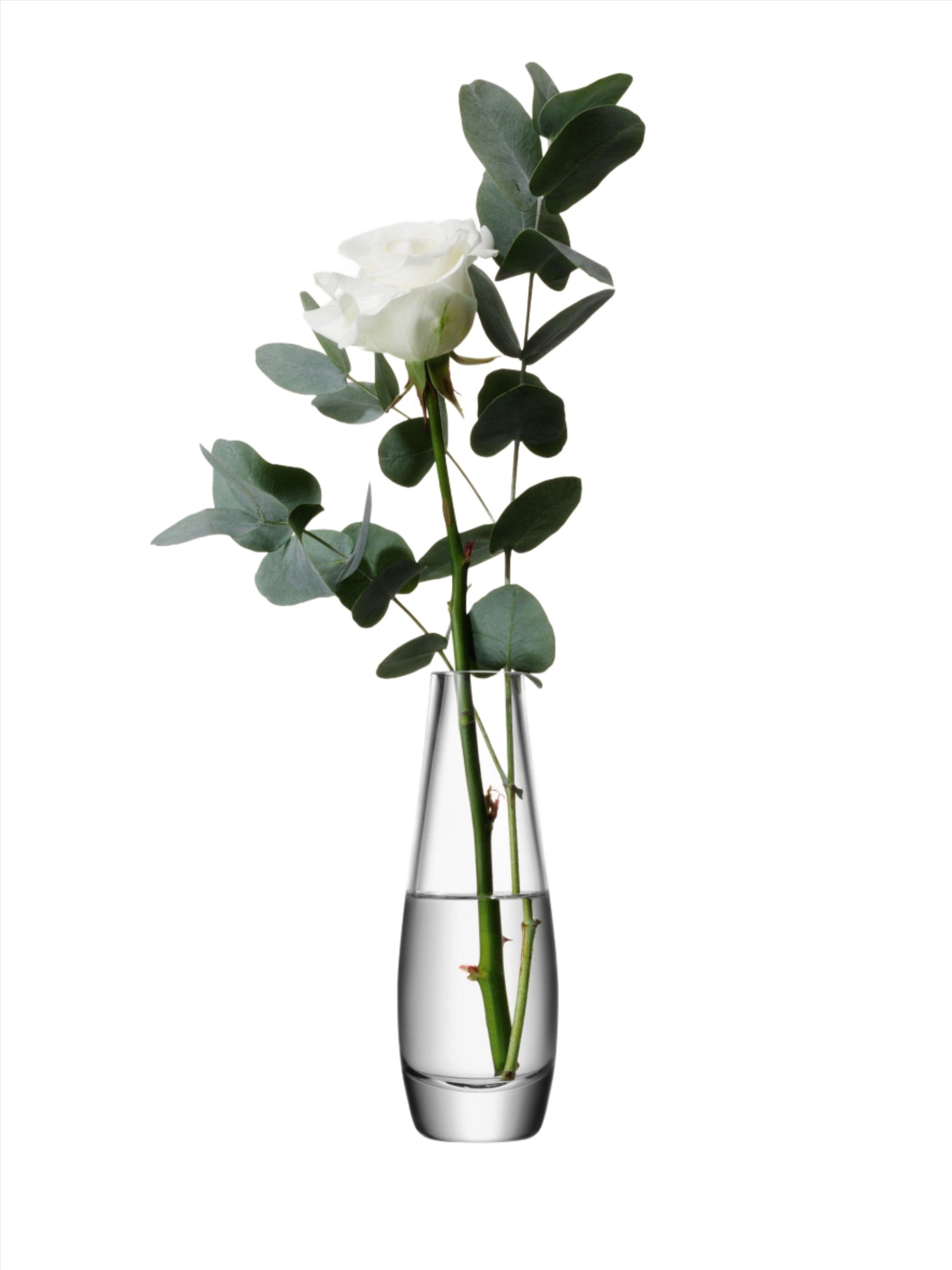Flower Single Stem Vase H17cm Clear