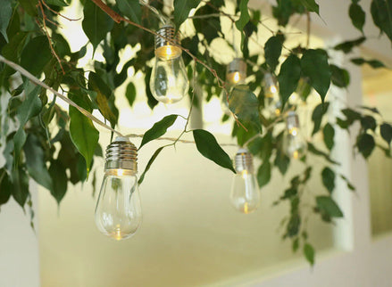 Edison String Lights