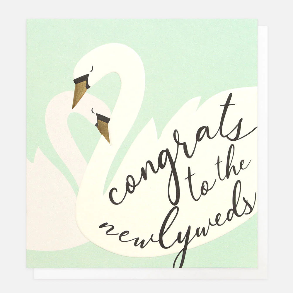 Newlywed Swans Wedding Card