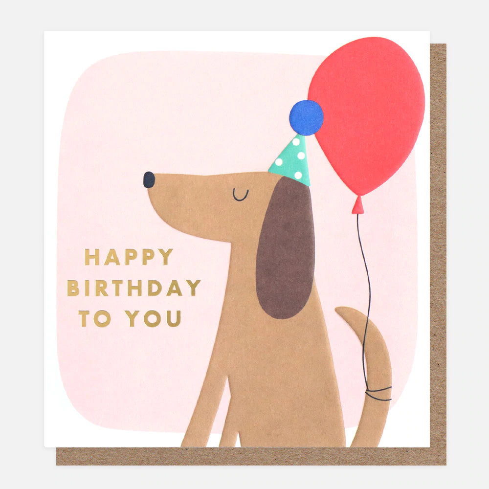 Happy Birthday To You Dog