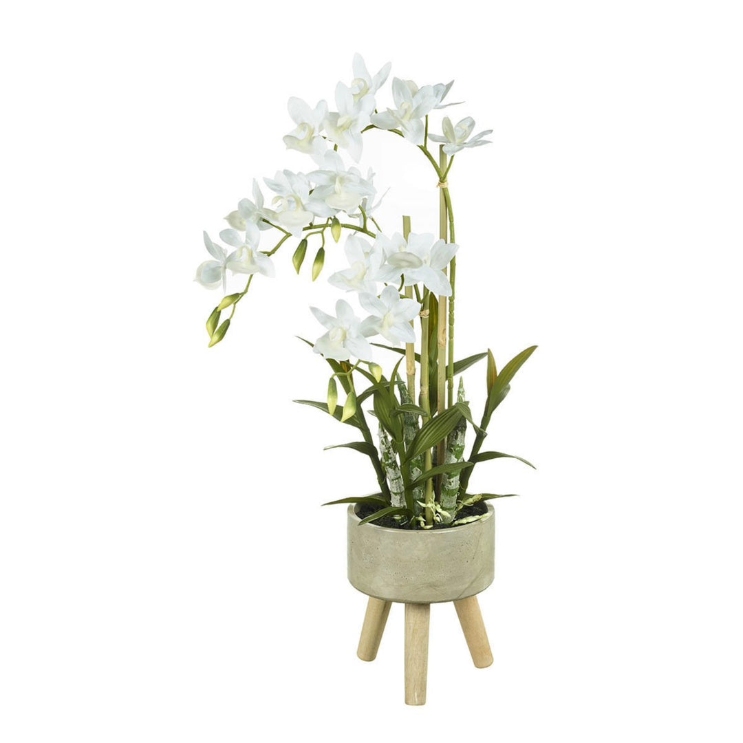 3 Legged Cycnoches Planter