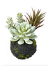 Succulent Mix Dusky Green