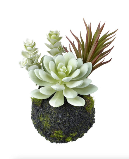 Succulent Mix Dusky Green