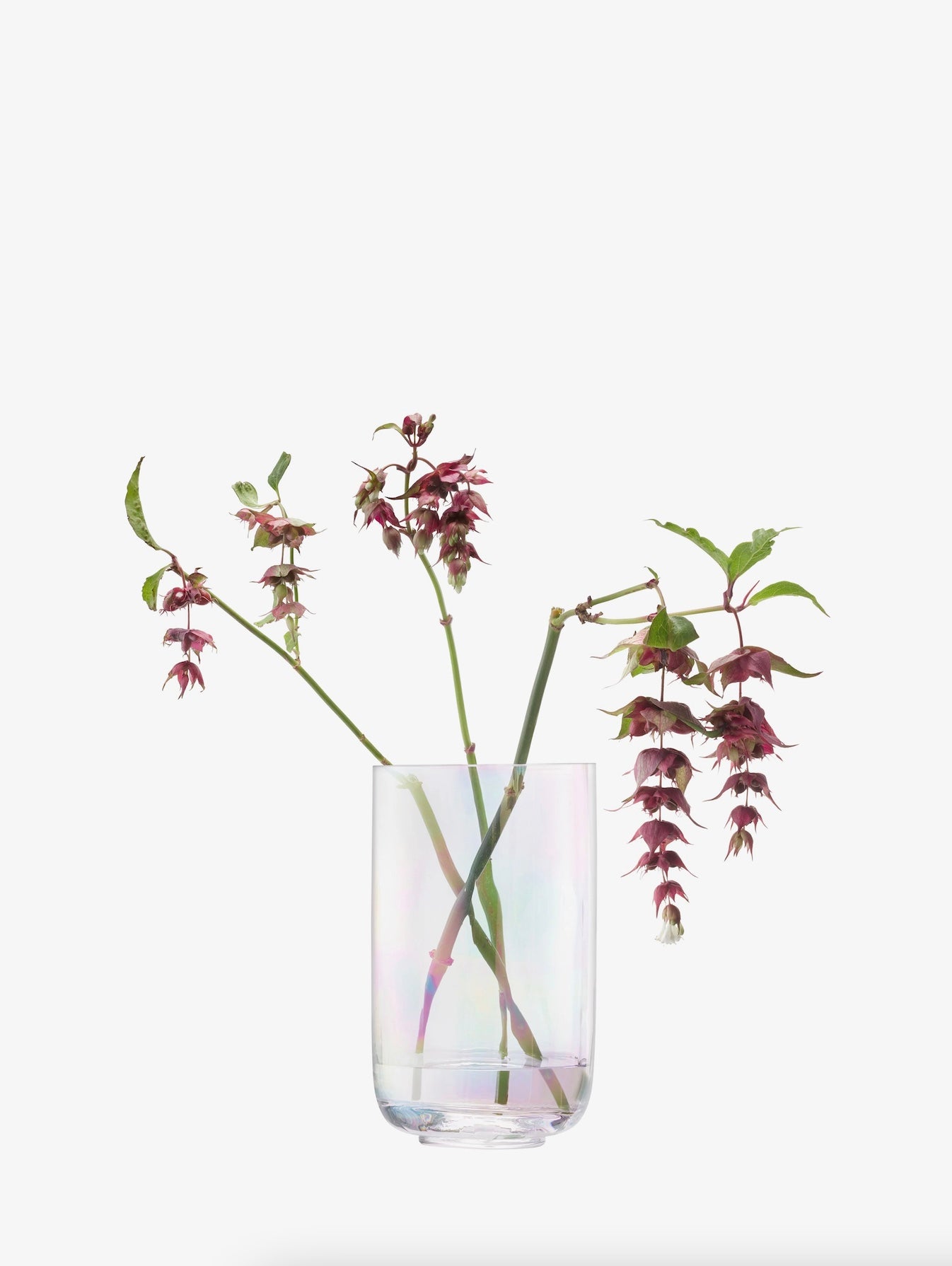 Pearl Lantern Vase H18.5cm