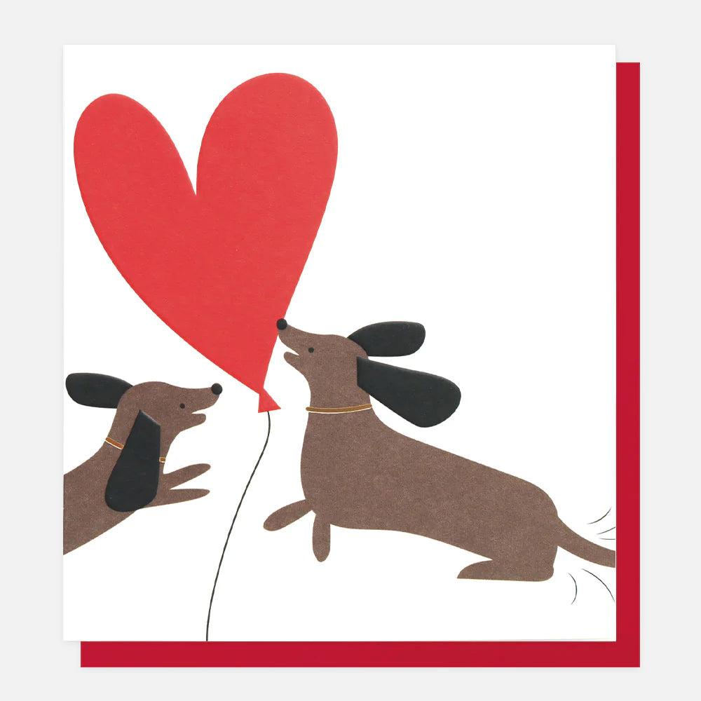 Valentines Day - Sausage Dogs with Heart Balloon