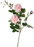 Rose Spray Soft Pink