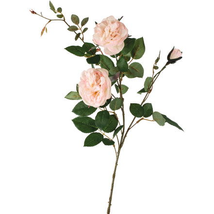 Rose Spray Cream 90cm
