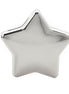 Silver Plated Star Shape Money Box