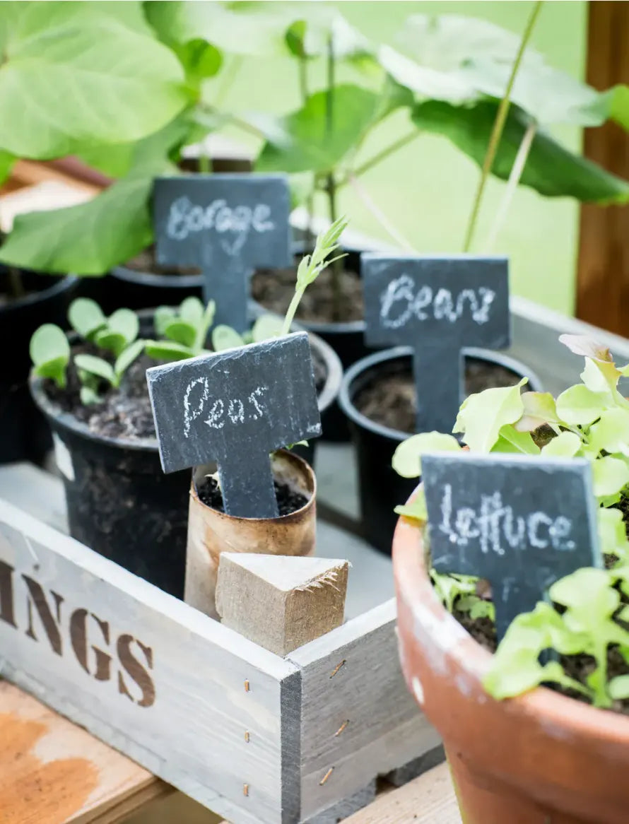Greenhouse Tags with Chalk - Set of 6
